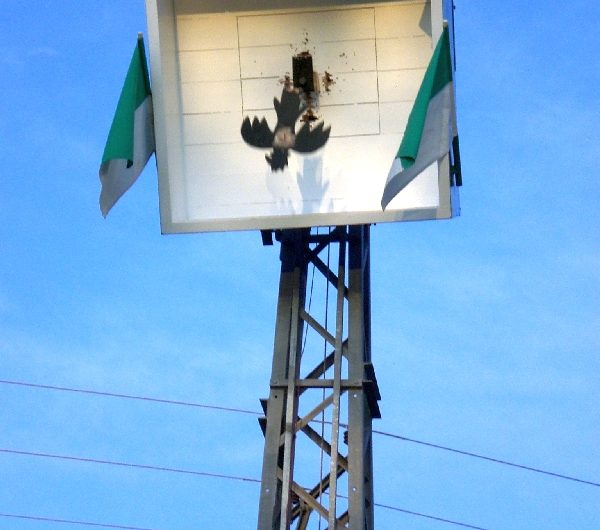 Königsschießen 2008